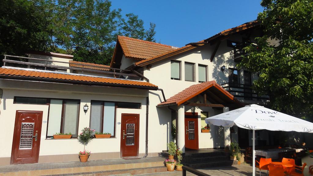 Vila Europa Sărata-Monteoru Eksteriør bilde